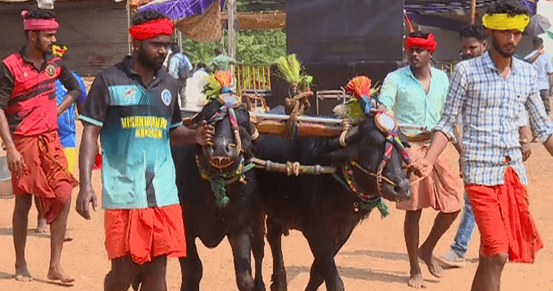 KAMBALA 2