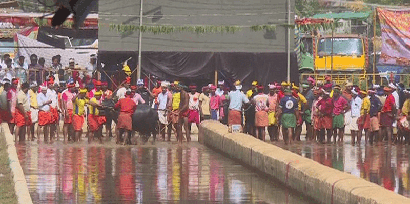KAMBALA 3