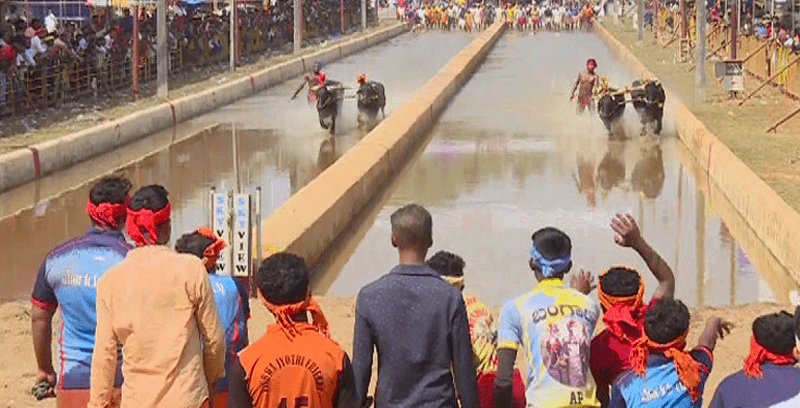 KAMBALA