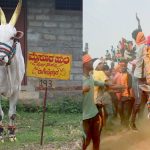 Mysuru Huli
