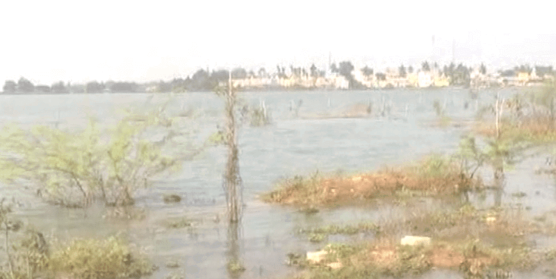 BENGALURU LAKE 5