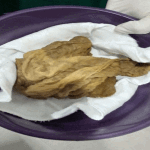 CLOTH