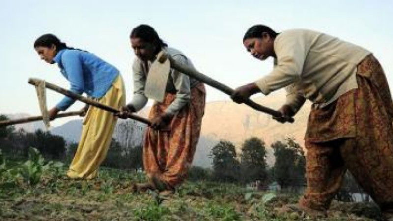 FARMER WOMEN