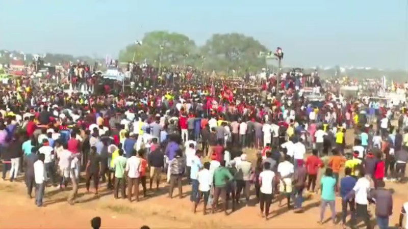Tamil Nadu Jallikattu 1