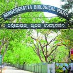 bannerghatta national park