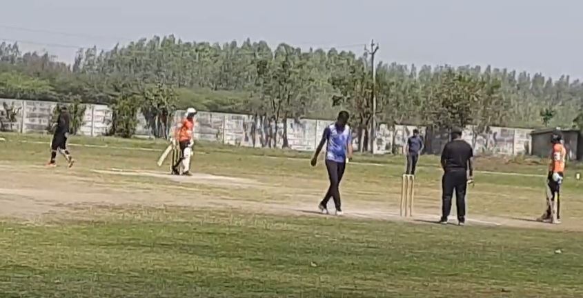 cricket 3