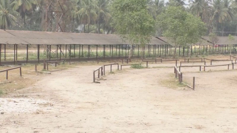 mandya mysugar 1