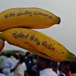 vijayanagara rathotsava