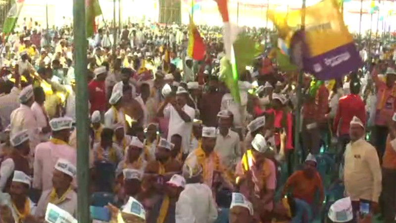 AAP Party