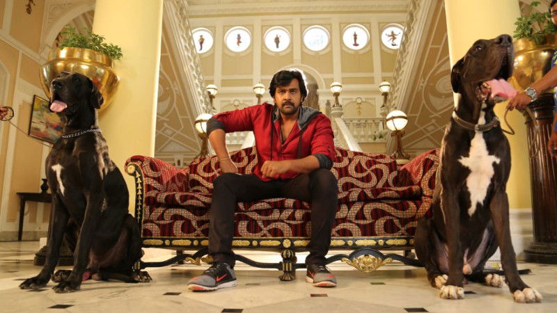 Chiranjeevi Sarja 1