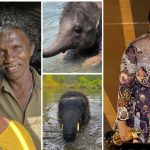 The Elephant Whisperers 4