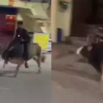 Drunk Man Rides Bull At Night Rishikesh