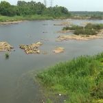 Shivamogga Tunga river 2