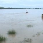 Bhima River 2