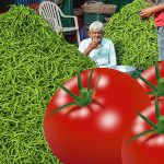 Green Chilli