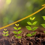 Plant 2