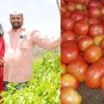 Pune Farmer