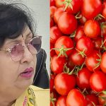Tomatoo