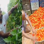 hassan police constable tomato