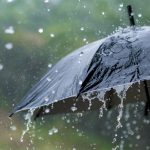 rain weather