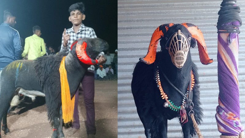 Missing Fighter Rocky Tagaru was found in mutton market in gokak village 1 1 1