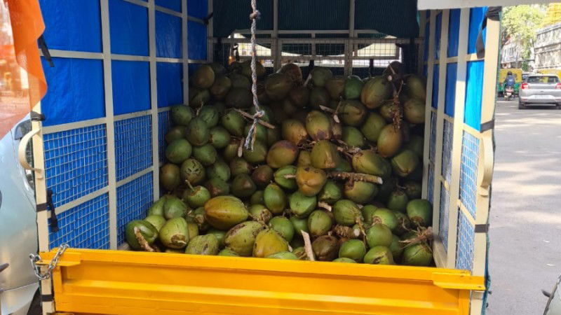 bengaluru theft coconut jayanagar 1