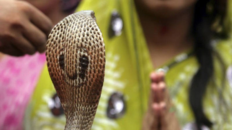 nagara panchami 3