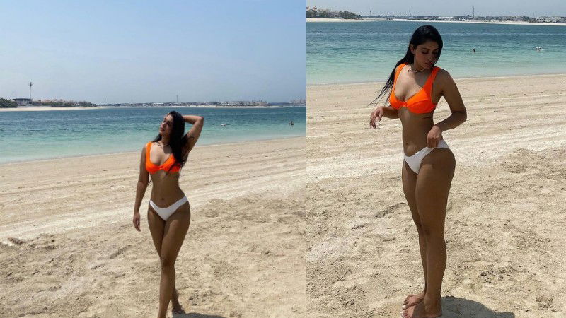 vaibhavi