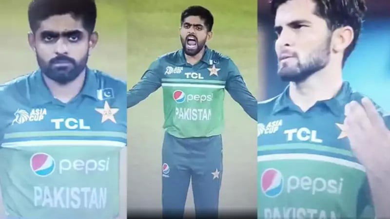 Babar Azam Shaheen Afridis Reaction After Shadab Khan