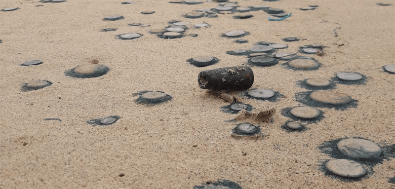 KARWAR FISH