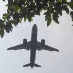 PLANE