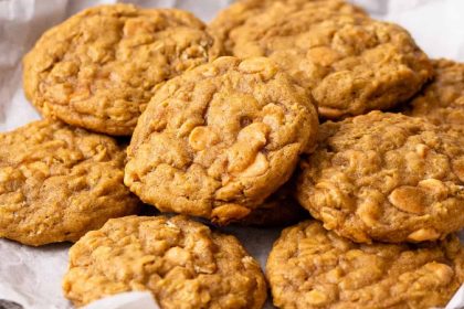 PUMPKIN OATMEAL COOKIES 2