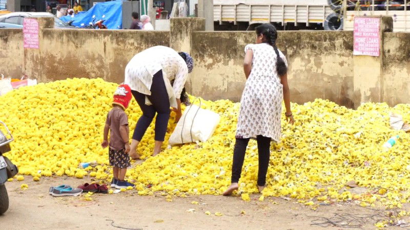 flower market 2