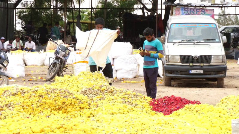 flower market 4