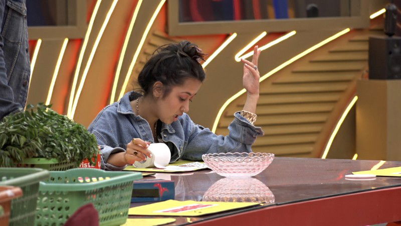 Bigg Boss 1 27