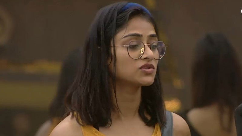 Bigg Boss 4 7
