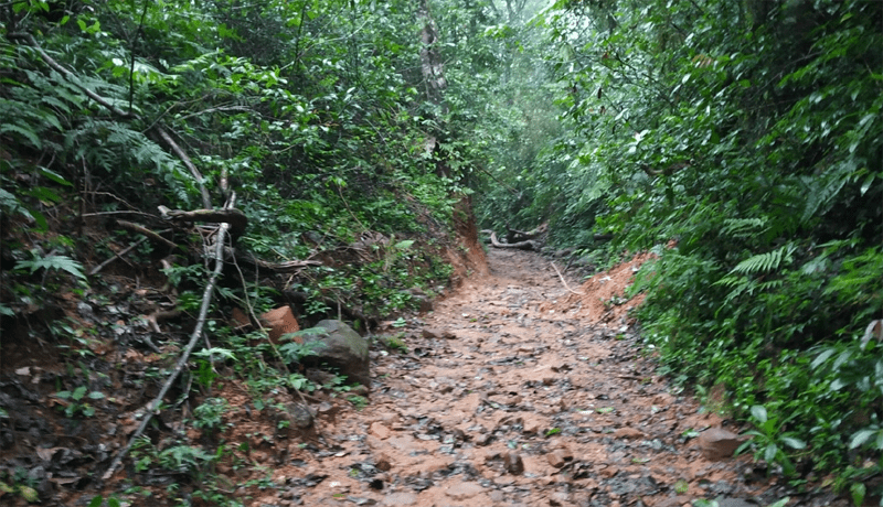 ETTINA BHUJA 2