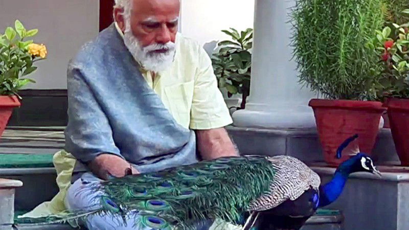 Modi 2 1