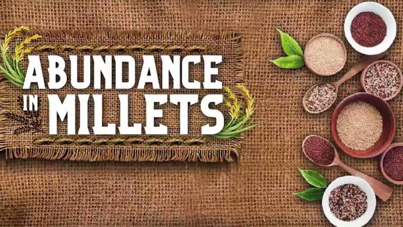 Abundance of Millets 2