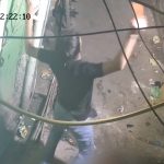 Brutal Murder