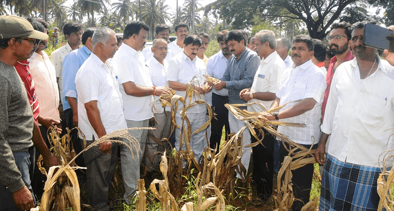 CHIKKAMAGALURU ARAGA 1
