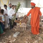 Haveri Cowshed