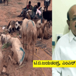 JAYACHANDRA