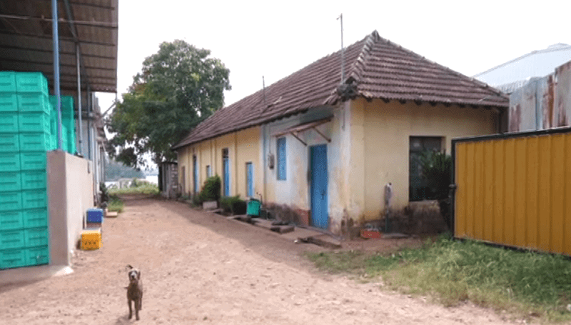 UDUPI PITHRODI 2