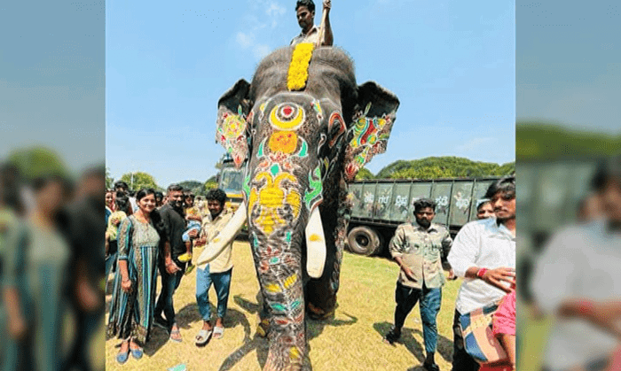 ARJUN