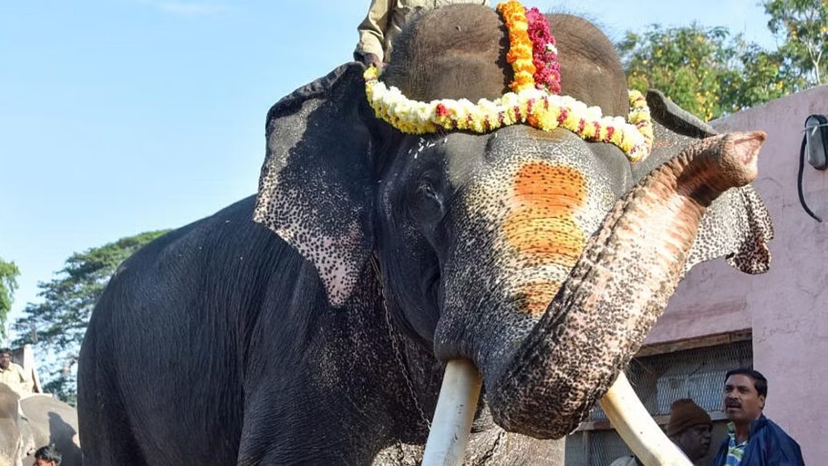 Arjuna 3