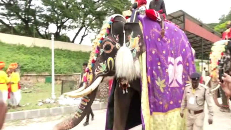 Captain Elephant Arjuna 2