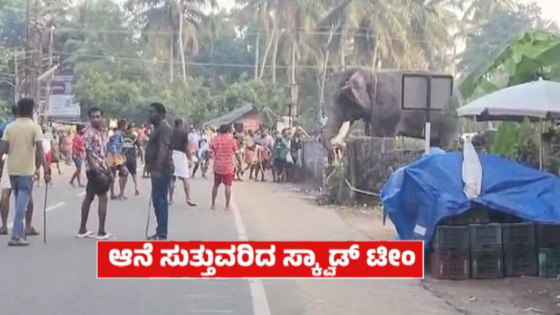 Elephant attack Tempo traveller in Kerala at Thrissur Shri Ram temple fair 1