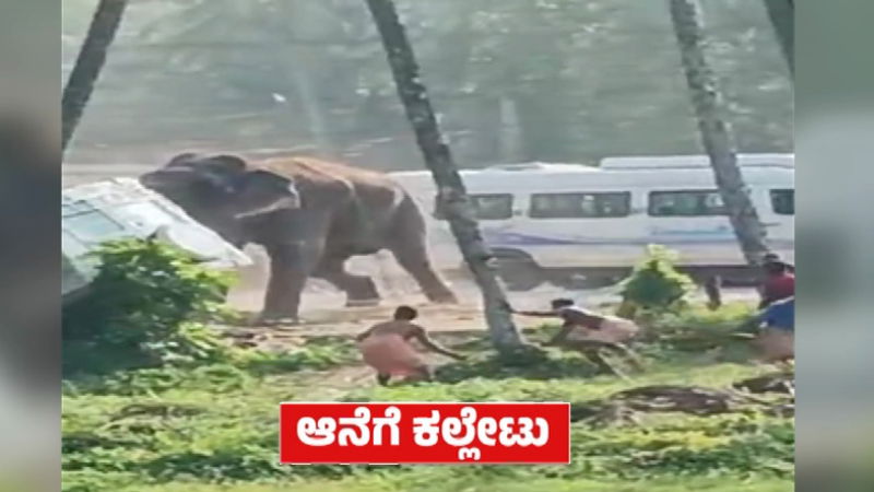 Elephant attack Tempo traveller in Kerala at Thrissur Shri Ram temple fair 2