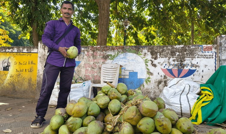 KARWAR TENDER COCONUT